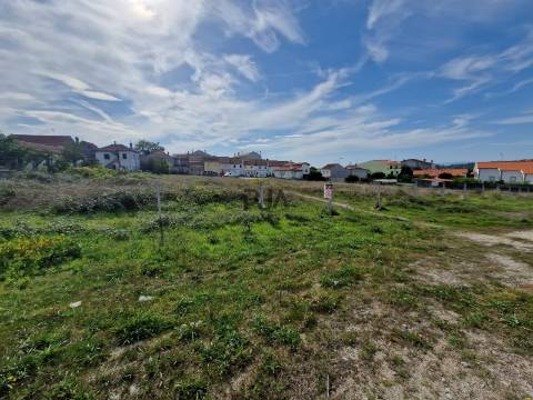 Terreno para construção em Nelas