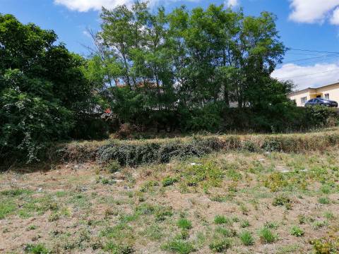 Lote para construção em Cubos