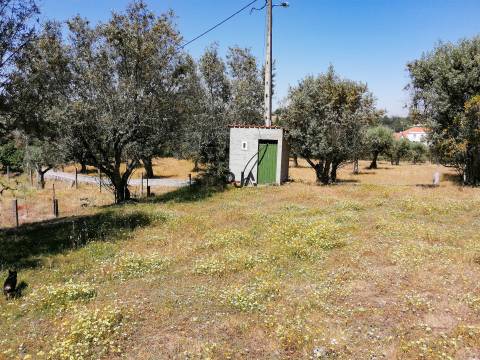 Terreno agrícola em Contenças de Baixo