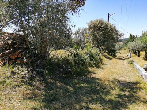 Terreno agrícola em Contenças de Baixo
