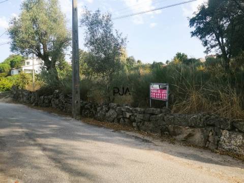 Terreno com viabilidade construtiva