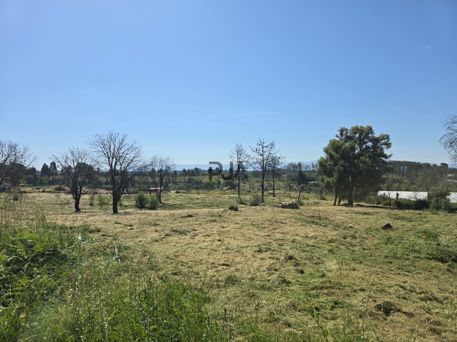 Terreno para construção em Mangualde