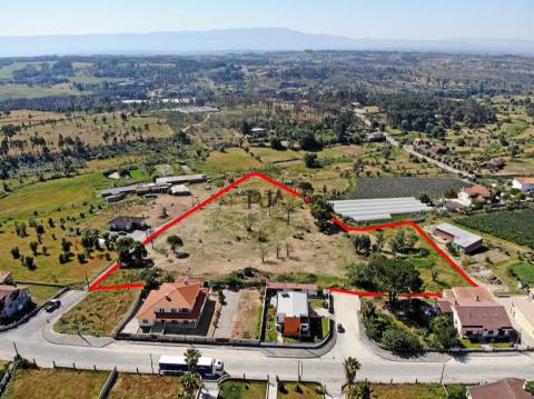 Terreno para construção em Mangualde