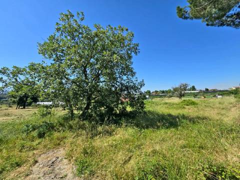 Terreno para construção em Mangualde