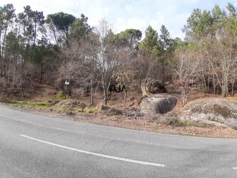 Terreno com viabilidade de construção