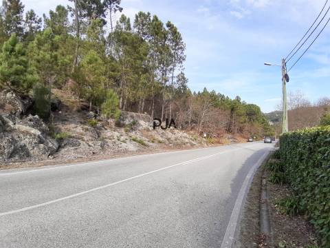 Terreno com viabilidade de construção
