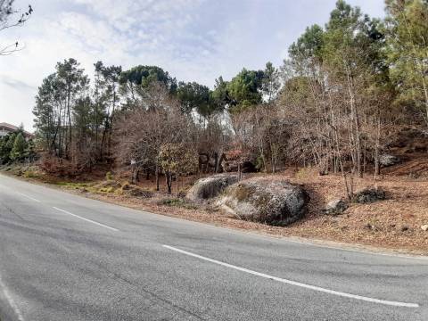 Terreno com viabilidade de construção