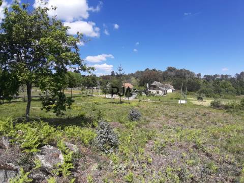 Terreno Para Construção  Venda em Cota,Viseu