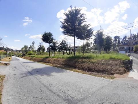 Terreno Para Construção  Venda em Cota,Viseu