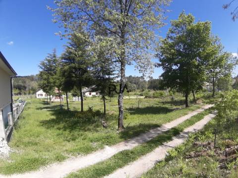 Terreno Para Construção  Venda em Cota,Viseu