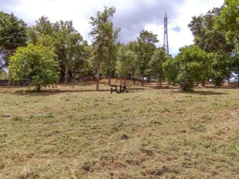 Terreno industrial em Mangualde