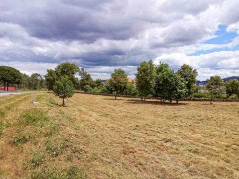 Terreno industrial em Mangualde