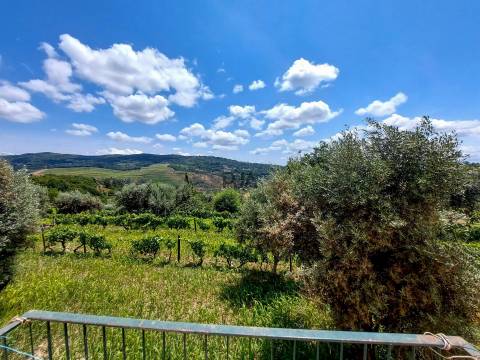 Moradia T5 em Sangemil, Penalva do Castelo