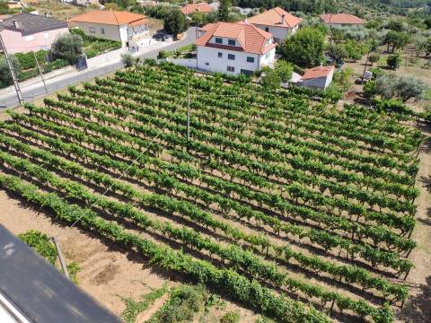 Lotes de Terreno para construção