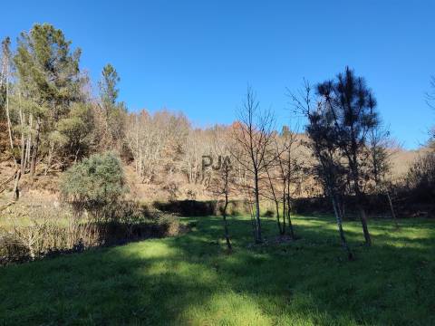 Terreno com 5ha na Quinta da Silva