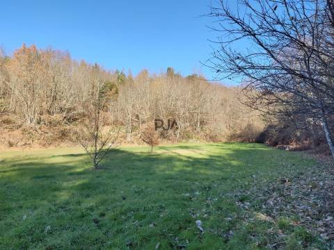 Terreno com 5ha na Quinta da Silva