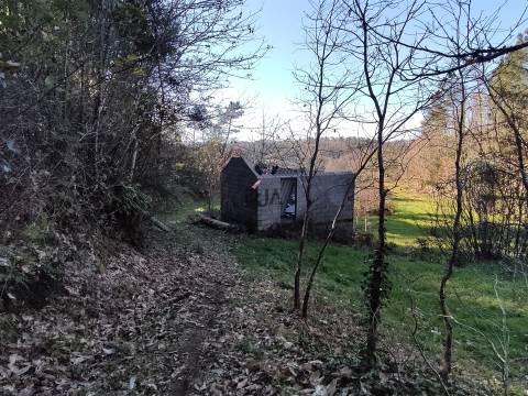 Terreno com 5ha na Quinta da Silva