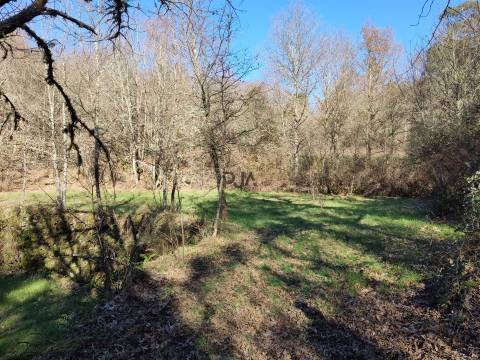 Terreno com 5ha na Quinta da Silva