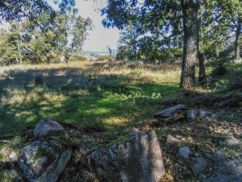 Moradia em granito para Restaurar em Devesa