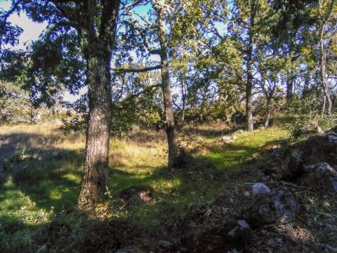 Moradia em granito para Restaurar em Devesa