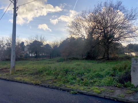 Terreno com viabilidade construtiva em Mangualde