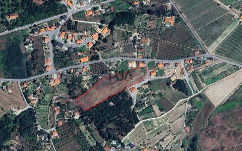 Terreno com viabilidade construtiva em Mangualde