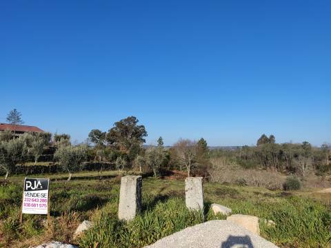 Lote de Terreno em Penalva do Castelo