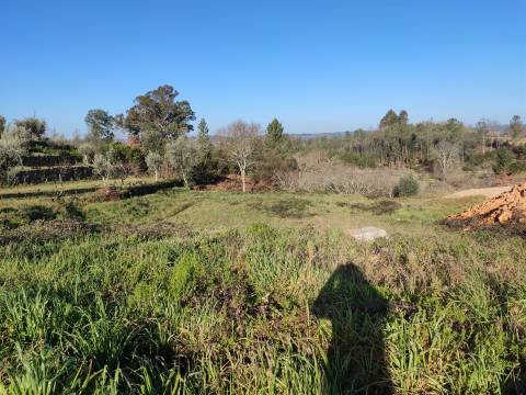 Lote de Terreno em Penalva do Castelo