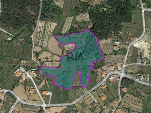 Quinta com 2ha em Aldeia das Posses