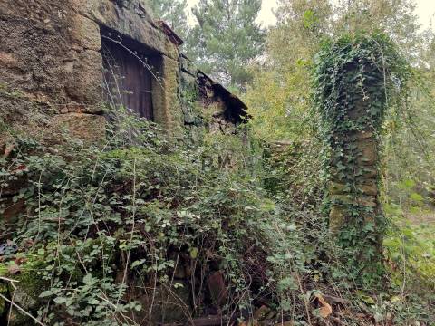 Quinta com 2ha em Aldeia das Posses