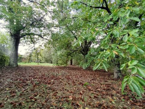Quinta com 2ha em Aldeia das Posses