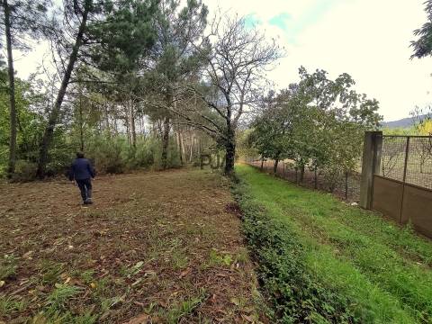 Quinta com 2ha em Aldeia das Posses