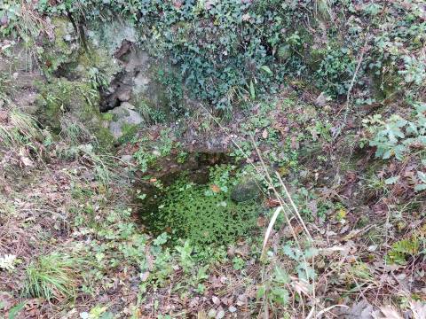 Quinta com 2ha em Aldeia das Posses