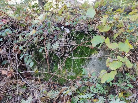 Quinta com 2ha em Aldeia das Posses