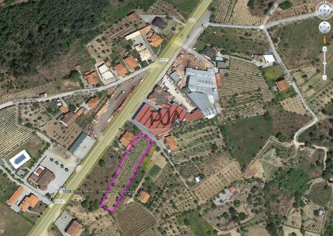 Terreno para construção com 1800m2 em Penalva do Castelo