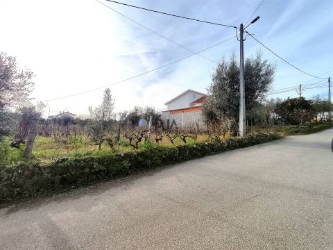 Terreno para construção com 1800m2 em Penalva do Castelo