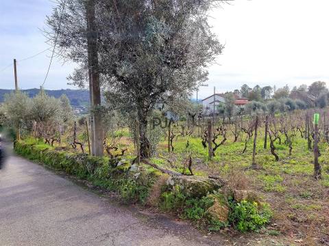 Terreno para construção com 1800m2 em Penalva do Castelo