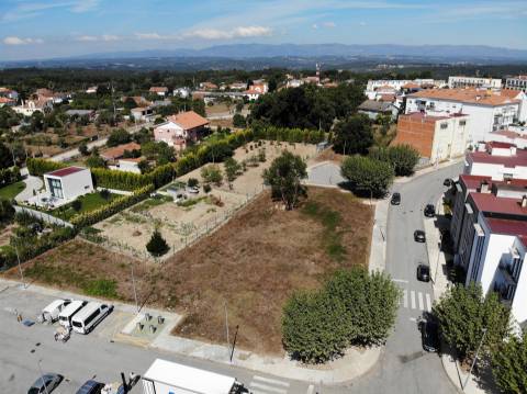 3 Lotes para Construção de 18 Fogos em Carregal do Sal