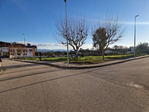 3 Lotes para Construção de 18 Fogos em Carregal do Sal