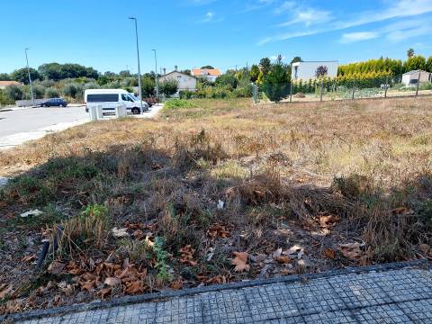 3 Lotes para Construção de 18 Fogos em Carregal do Sal
