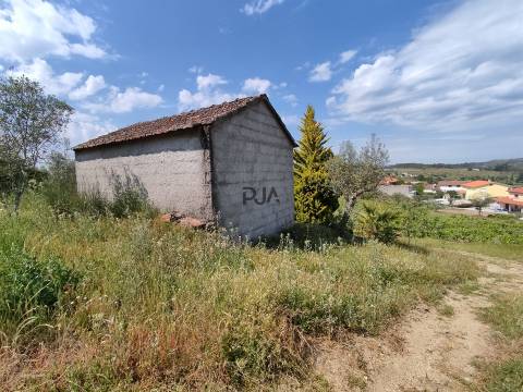 Quinta com 1,8ha em Sezures, Penalva do Castelo