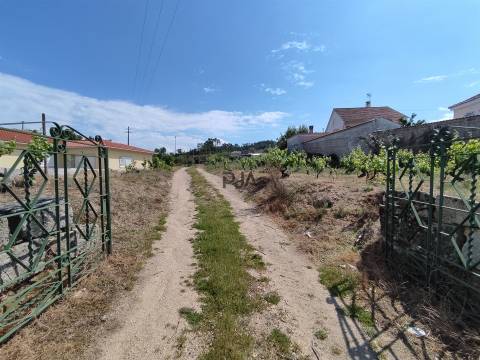 Quinta com 1,8ha em Sezures, Penalva do Castelo