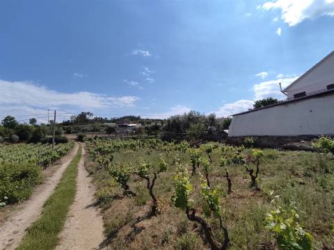 Quinta com 1,8ha em Sezures, Penalva do Castelo