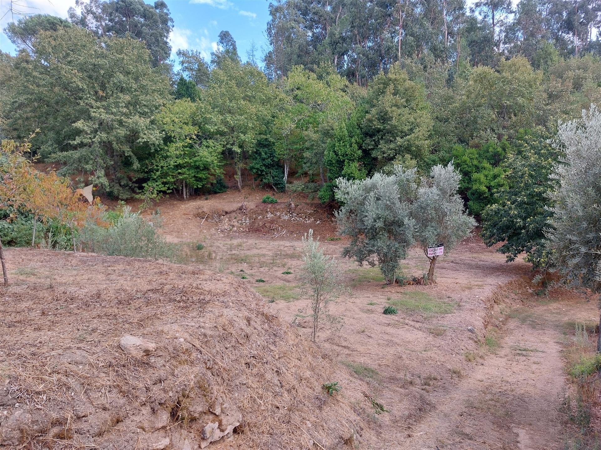 Terreno com viabilidade construtiva na Quinta da Silva, Penalva do Castelo