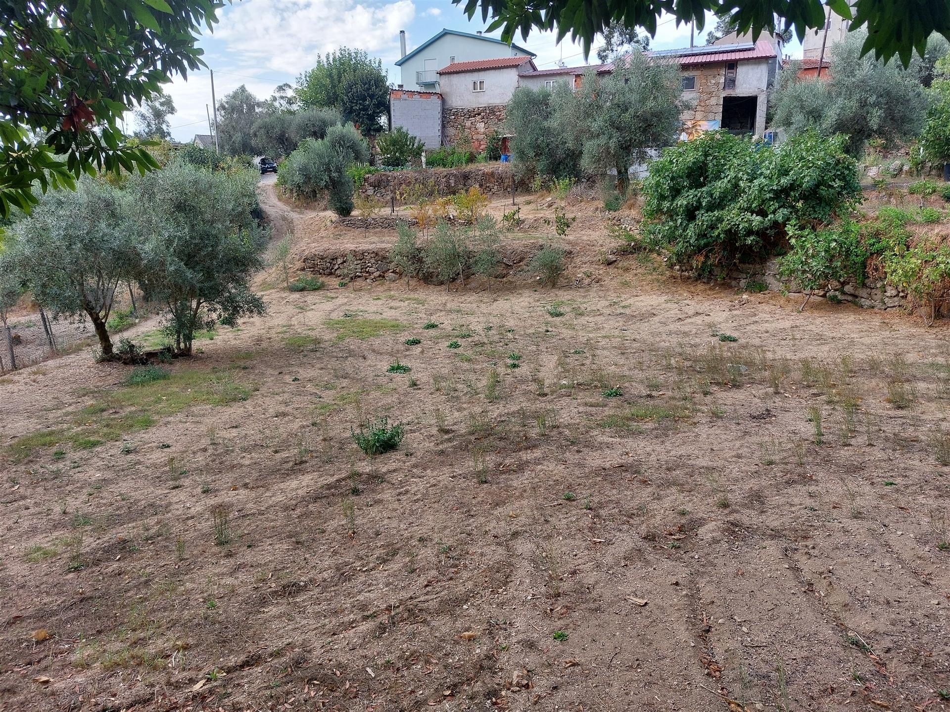 Terreno com viabilidade construtiva na Quinta da Silva, Penalva do Castelo