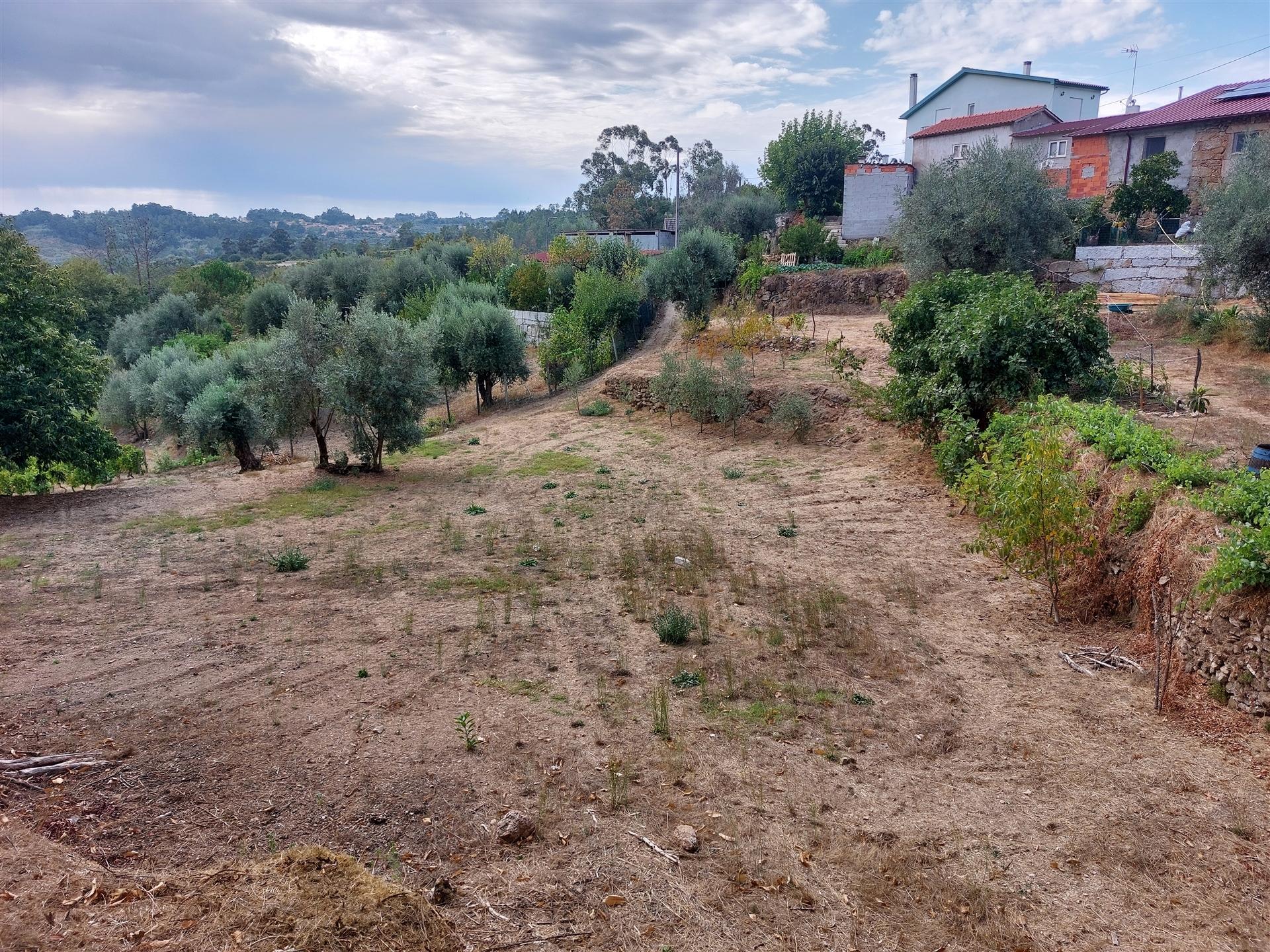 Terreno com viabilidade construtiva na Quinta da Silva, Penalva do Castelo