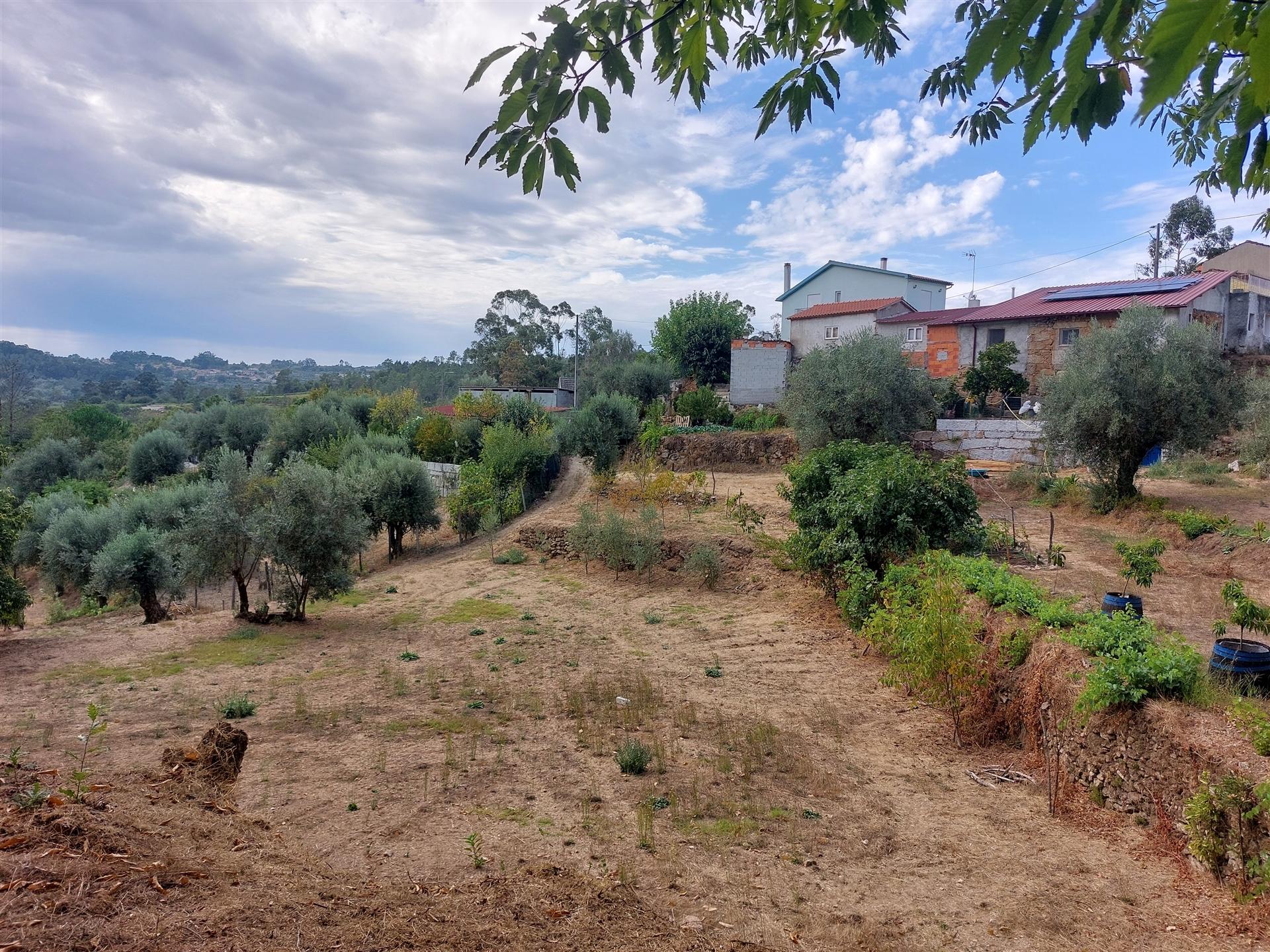 Terreno com viabilidade construtiva na Quinta da Silva, Penalva do Castelo