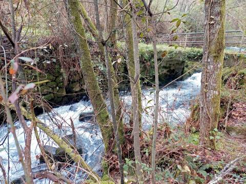 Moinho para recuperar em S. Pedro do Sul