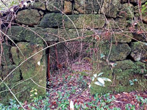 Moinho para recuperar em S. Pedro do Sul