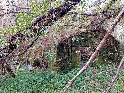 Moinho para recuperar em S. Pedro do Sul